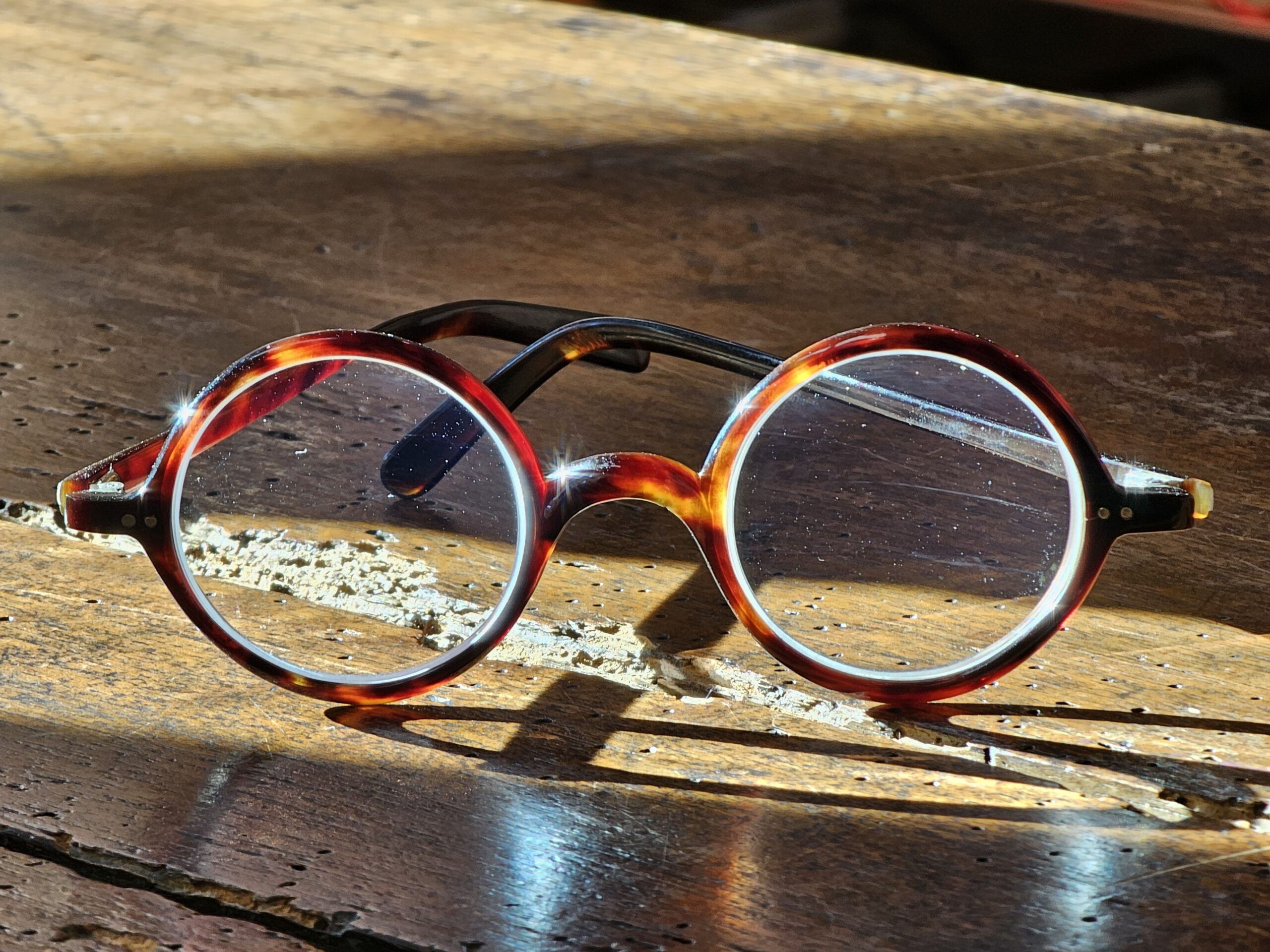 Pessoa tortuga – Image 6